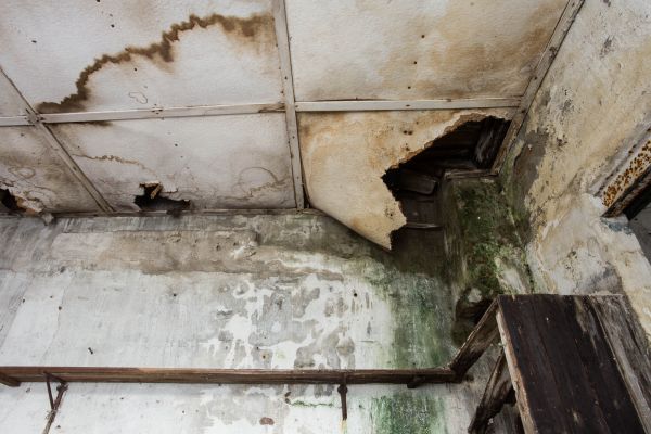 Water Damage Service in Sterling