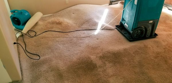 Flood Damage Cleanup in Sterling