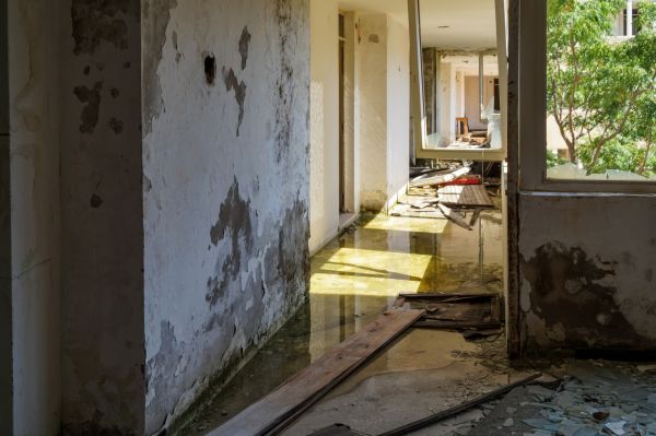 Water Removal Service in Sterling