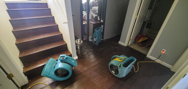 Water Damage Remediation in Sterling