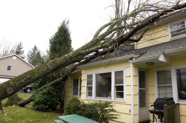 Hurricane Damage Repair in Sterling